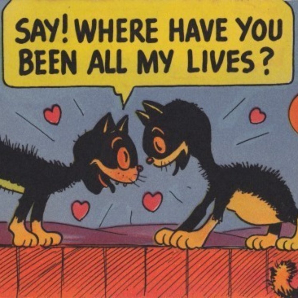 Meet your Posher, Meg